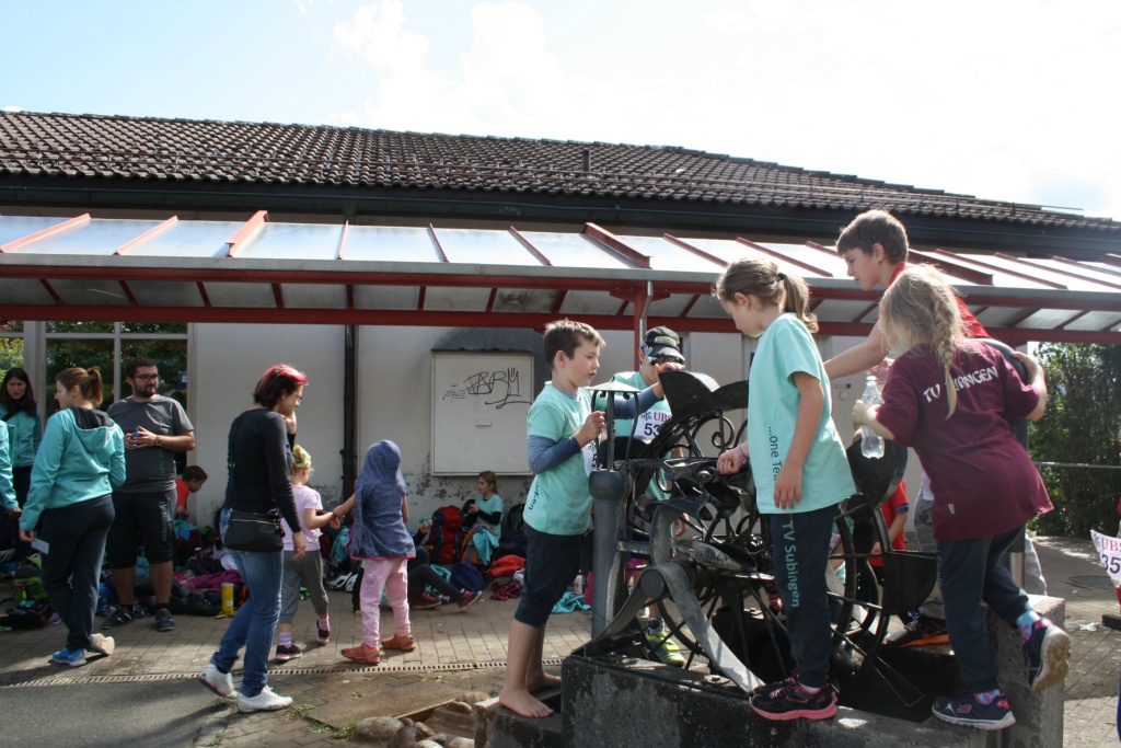Bild 1 (117)